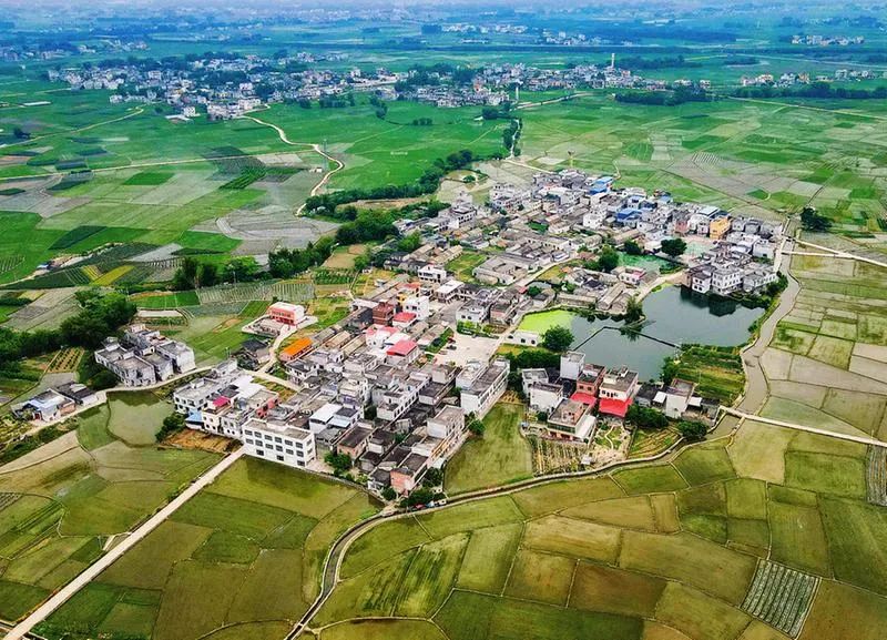 通过高标准农田建设,宾阳县古辣镇田成块,地城形,一块块水田插秧后