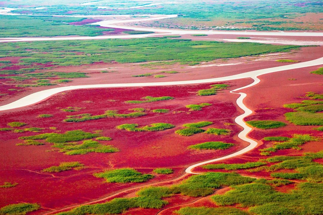 大美中国i自然山东东营醉美黄河口湿地