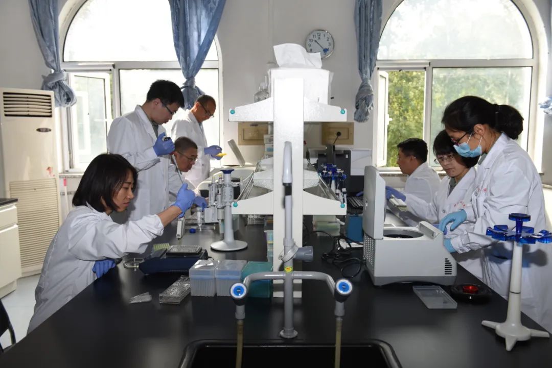 科研骨干带领年轻科研人员进行实验