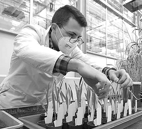 国外如何加强基础研究|科研_新浪财经_新浪网