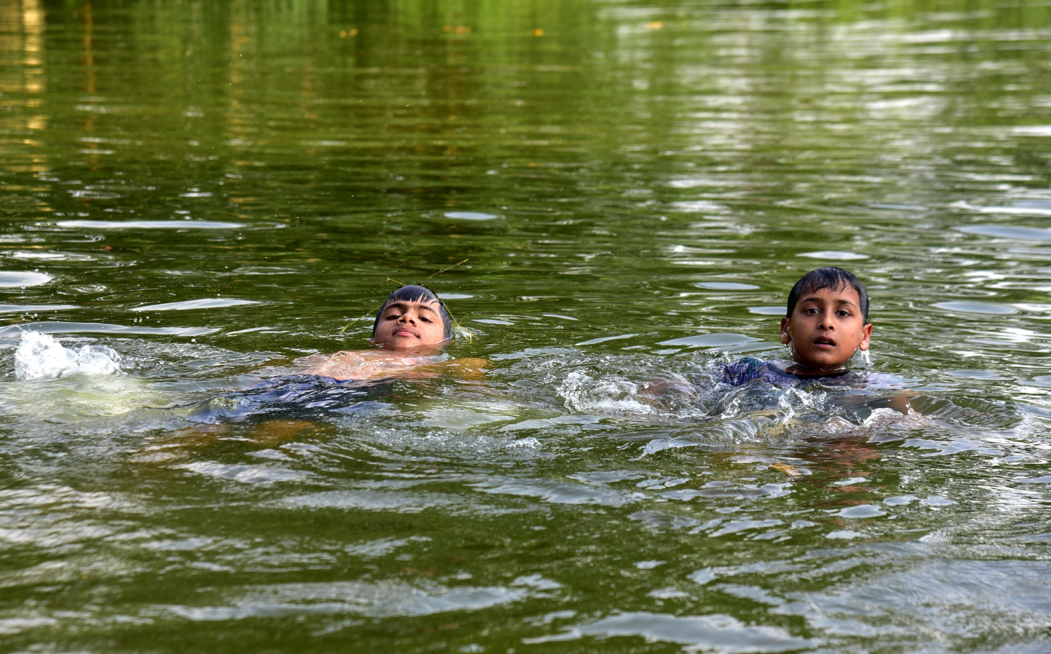 天气炎热 印度青少年池塘戏水消暑_新浪财经_新浪网