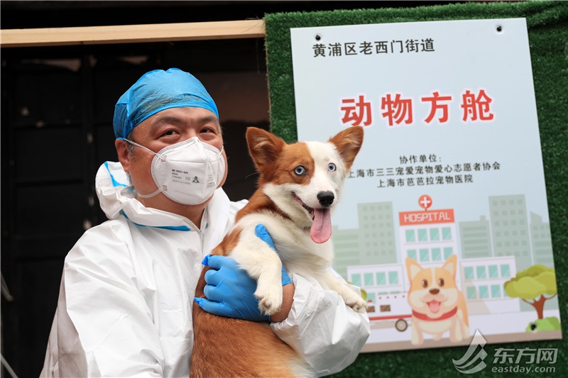 上海首个动物方舱关舱 让每一只毛孩子都安全回家