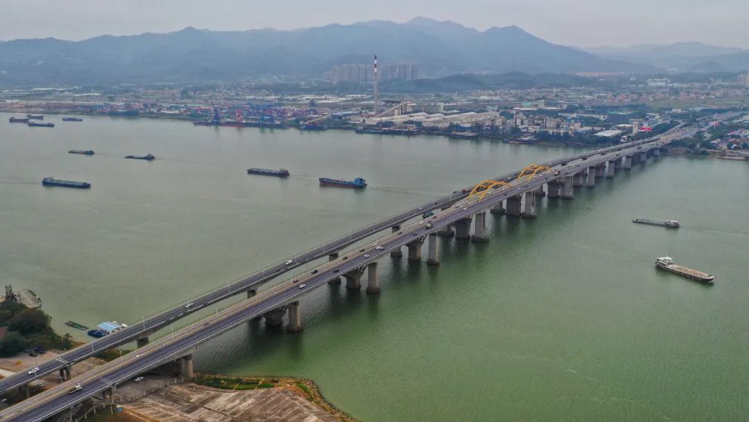 高明大桥.霍伟权/摄