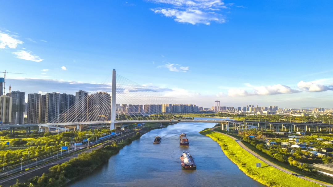 奇龙大桥.辛裕祺/摄