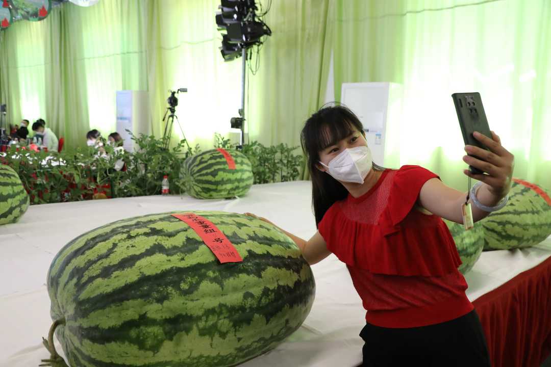 040,0.06,1.20%)杯"全国西甜瓜擂台赛在大兴区庞各庄镇西瓜晓镇举办.