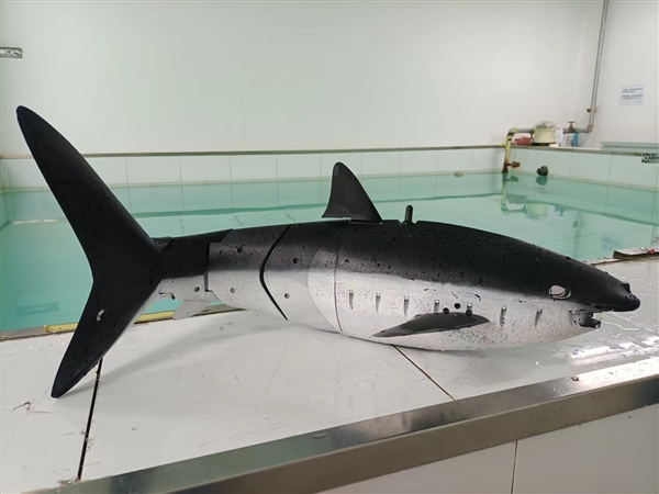 仿生鲨鱼 吴正兴供图