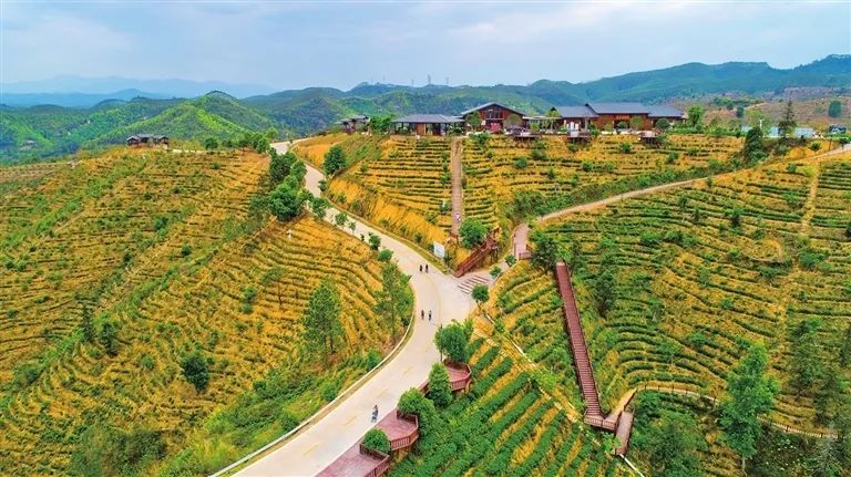 河源紫金这条旅游线路,获全国推荐!|河源市_新浪财经_新浪网