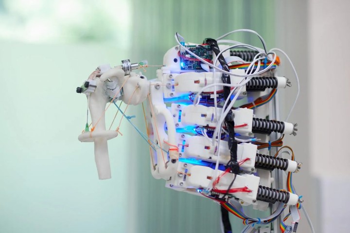 体外培养人体组织,用机器人骨架更方便