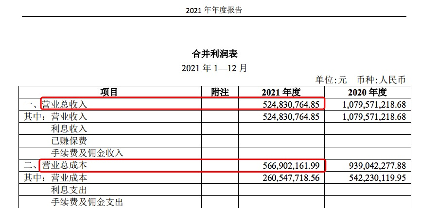 来源：华丽家族2021年年报