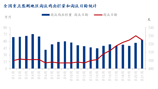 数据来源：钢联数据