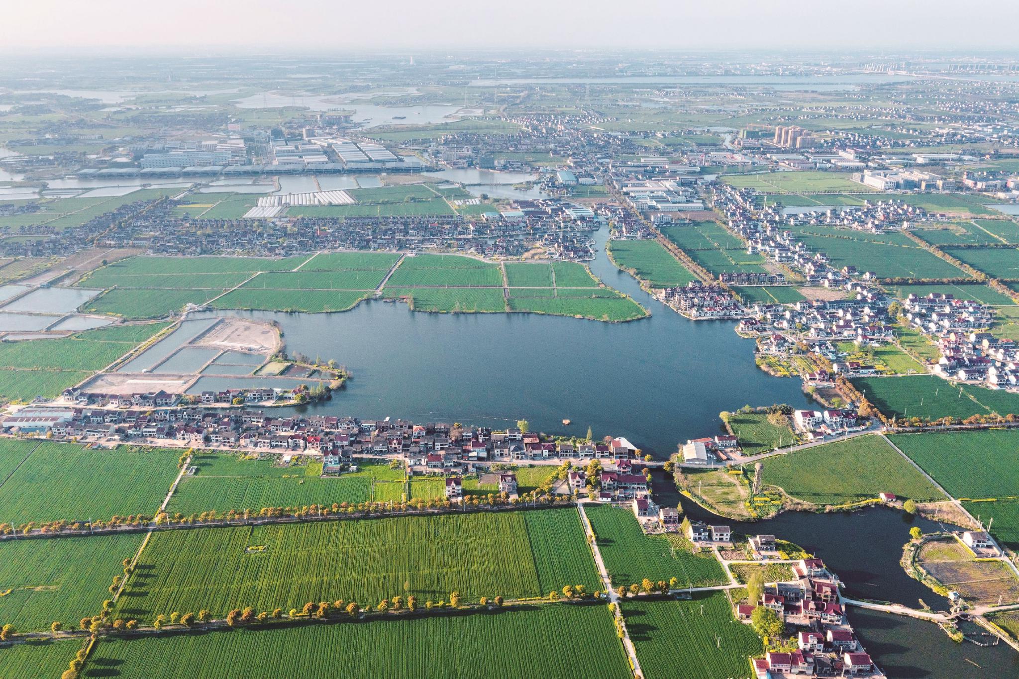 照片由陶庄镇提供