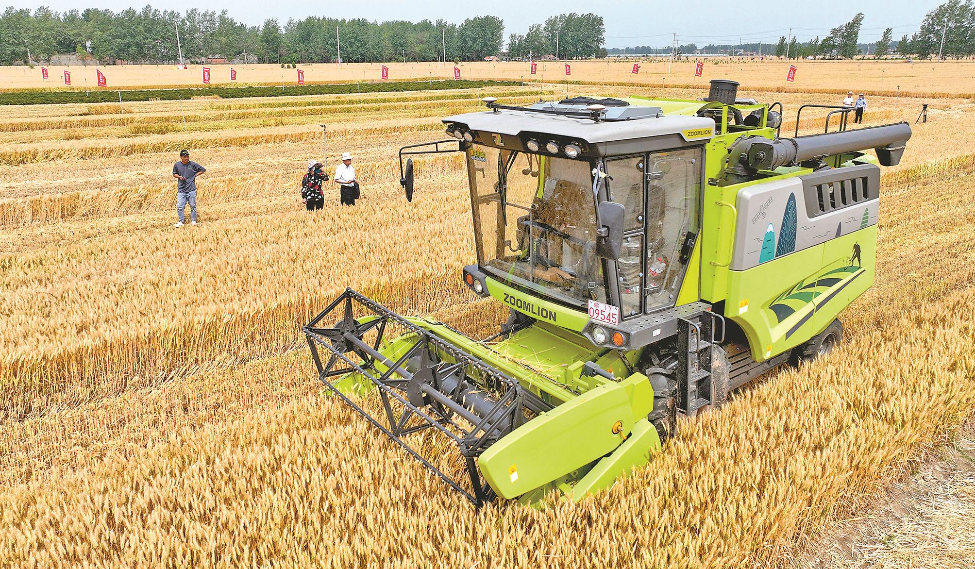 5月27日,在安徽省亳州市谯城区赵桥乡,一台无人驾驶收割机在麦田里