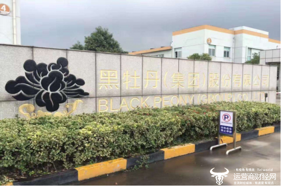 江苏黑牡丹集团副总裁史荣飞年薪110.2万比总裁还高 曾在万达等干过