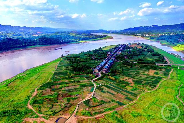 鸟瞰重庆江心岛④麻柳南坪坝岛风吹草地现牛羊