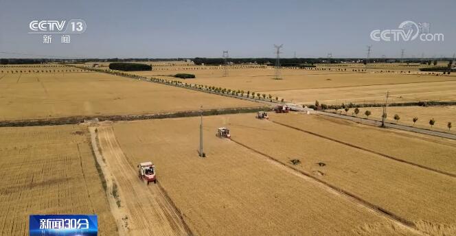 【在希望的田野上·三夏时节】全国已收获小麦面积5583万亩