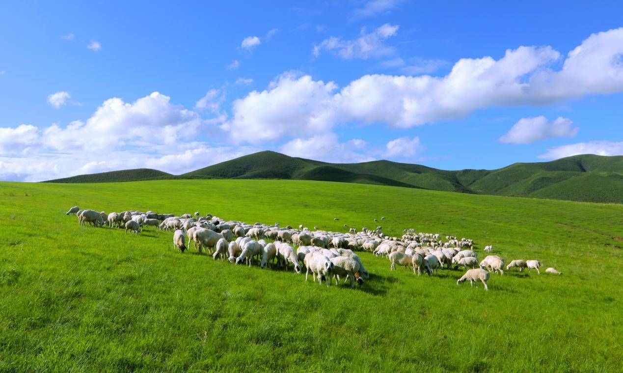 霍林郭勒:激发全域文化旅游新活力|草原_新浪财经_新浪网