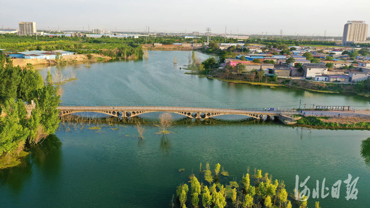 初夏时节,在河北省邢台经济开发区,"百泉"复涌,生态美景,犹如画卷.