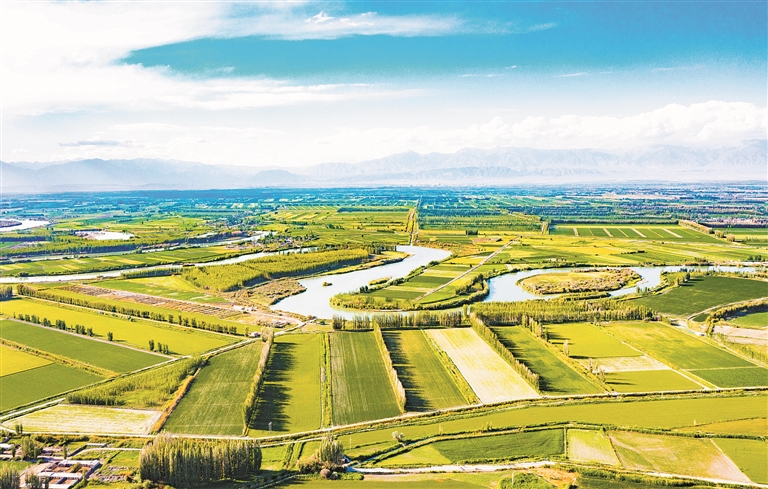 稳面积,兵团打好粮食丰产第一仗!