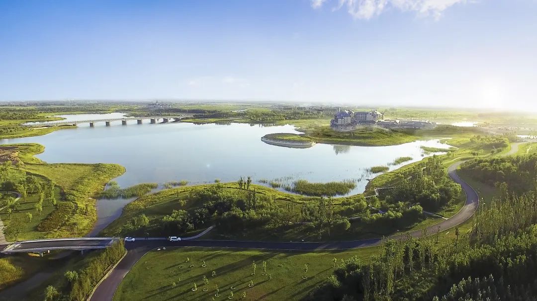 图为文安县鲁能生态区一角.刘伟摄