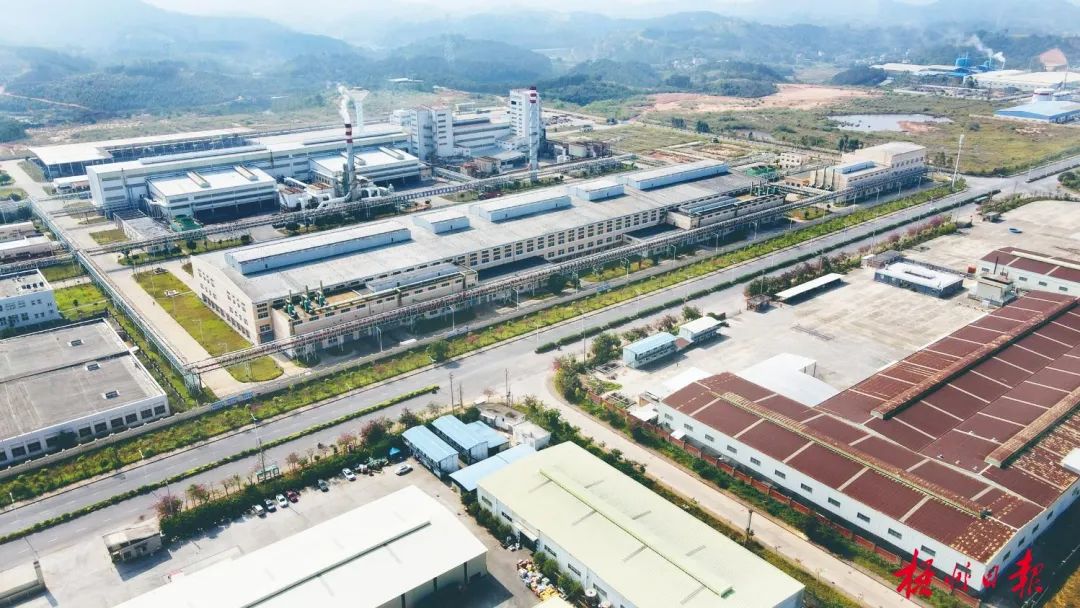 全力以赴抓项目主动作为稳增长丨蒋连生到梧州循环经济产业园区就稳