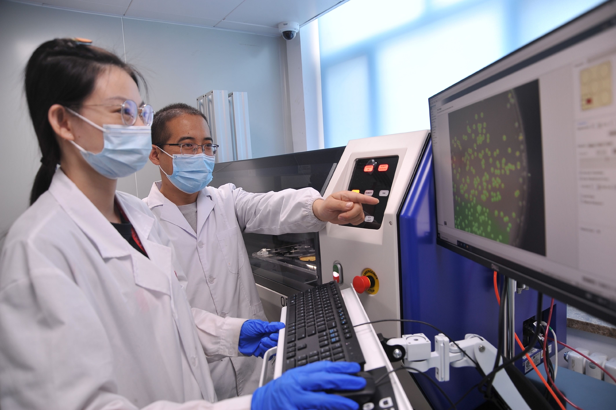 利用高通量挑选设备进行菌株筛选