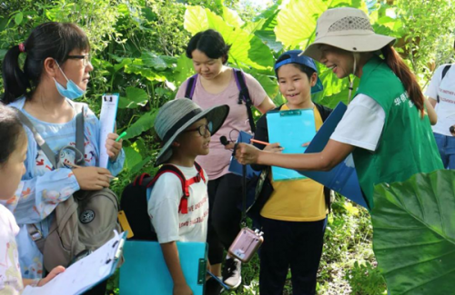 华侨城湿地自然学校志愿者正在开展自然教育