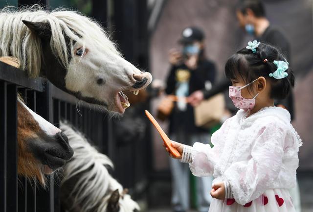 当"萌宝"遇到"萌马"