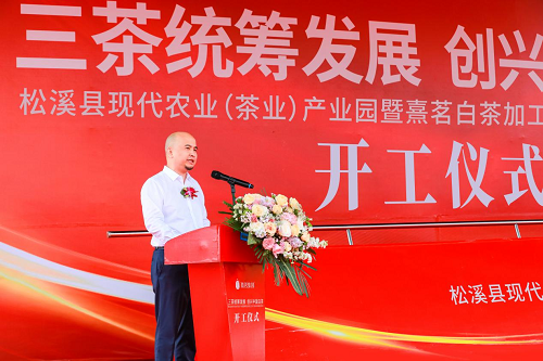 创兴中国白茶胸怀家国情怀松溪县委书记张行书在奠基仪式上的发言中