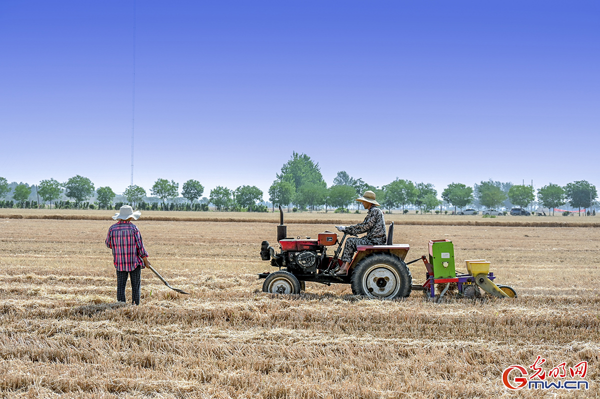 2022年6月2日,河南省漯河市源汇区问十乡的农民正机械播种玉米,大豆等