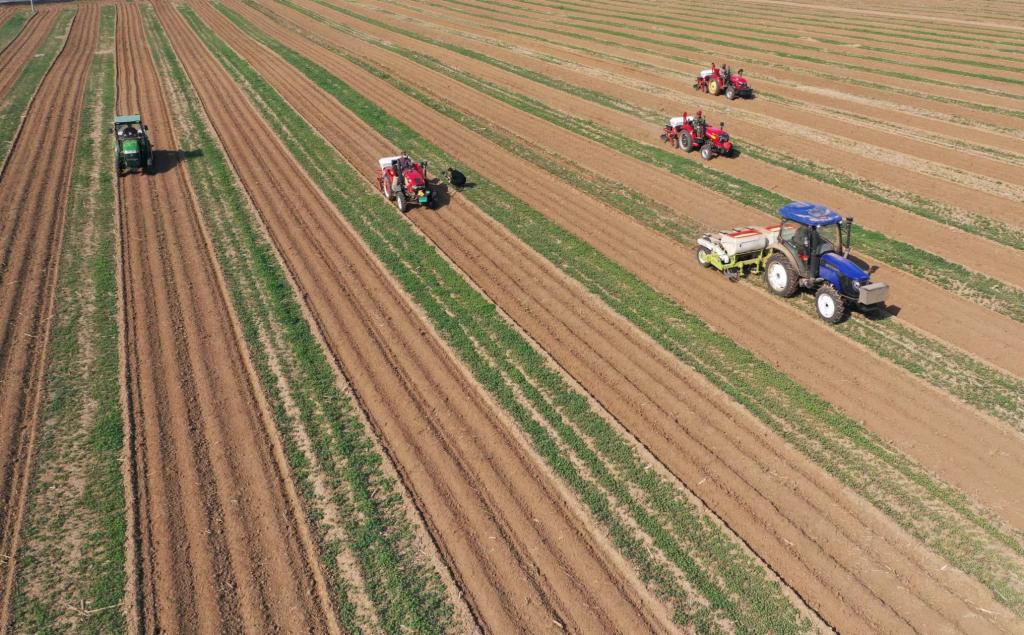 端牢中国饭碗中国北大仓粮食春播超35亿亩