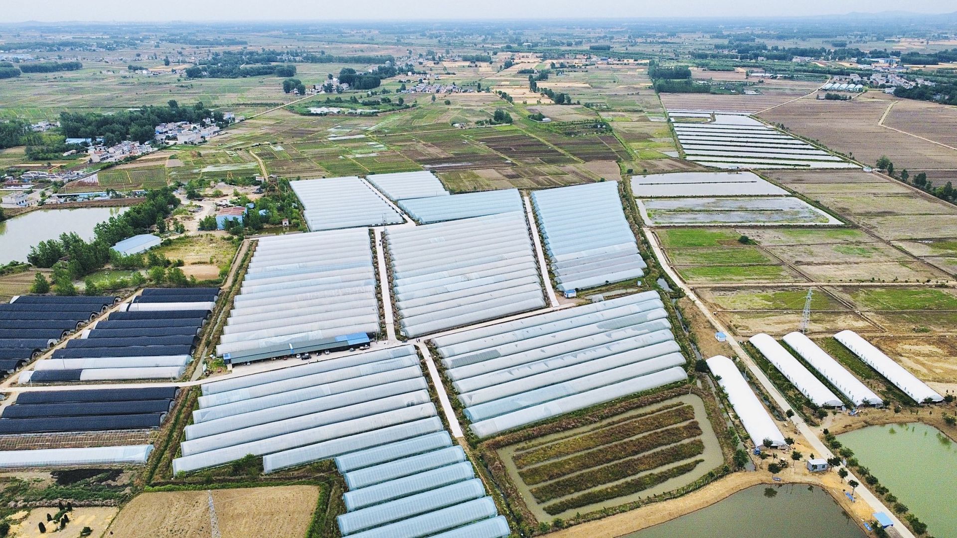 大棚里走出致富带头人