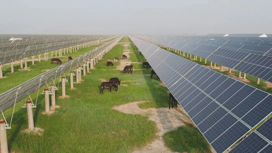 吉林双辽农业光伏电站