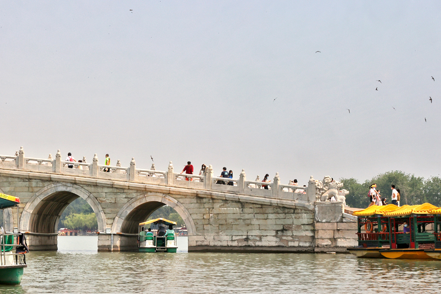 6月3日，游客在颐和园十七孔桥上欣赏雨燕。中国日报记者 姜东 摄