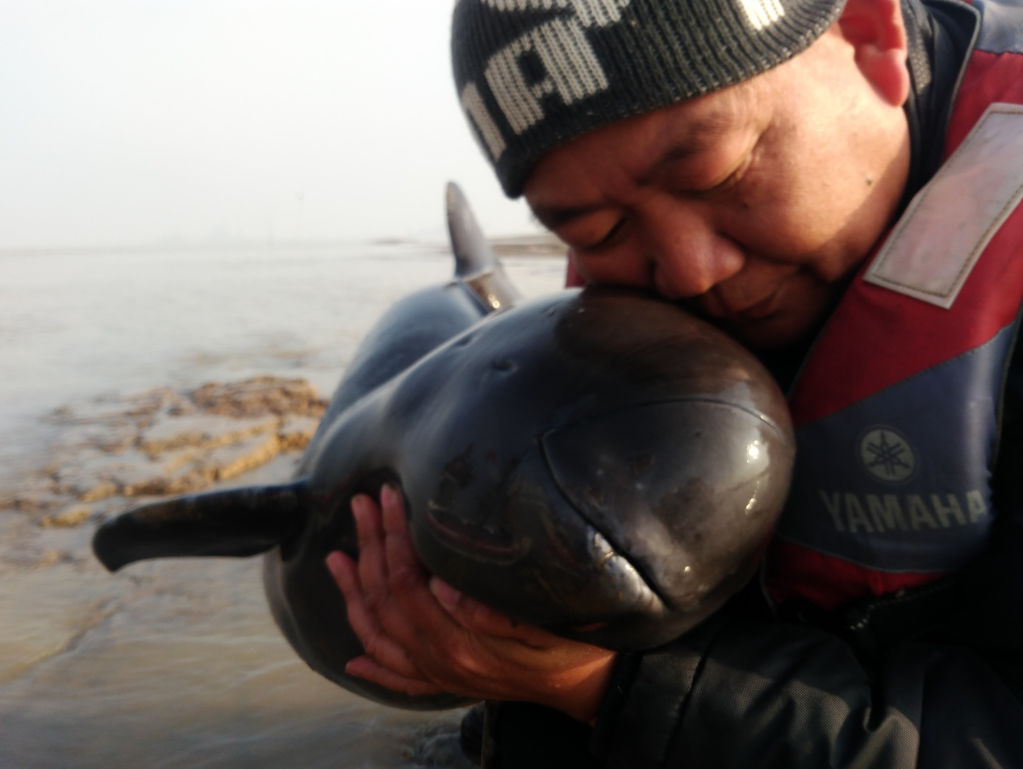 2017年在洞庭湖煤炭湾水域,何大明伤心地抱着已死亡的江豚.