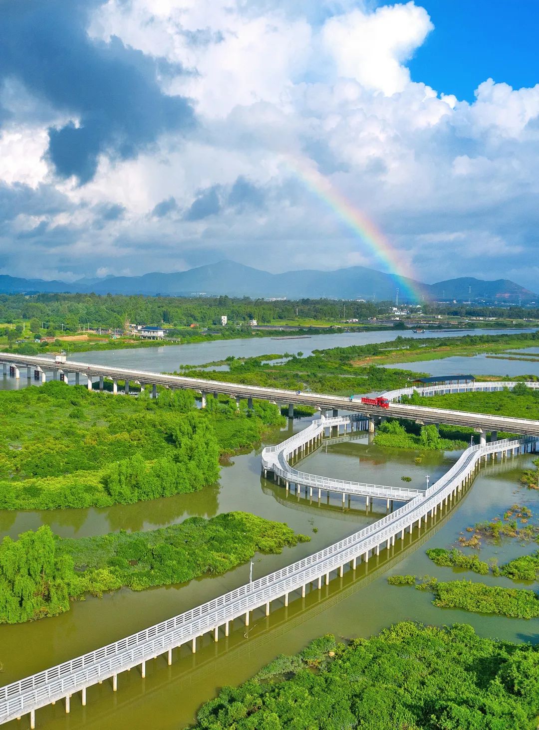 阳江发布今年第1号林长令!|阳江市_新浪财经_新浪网
