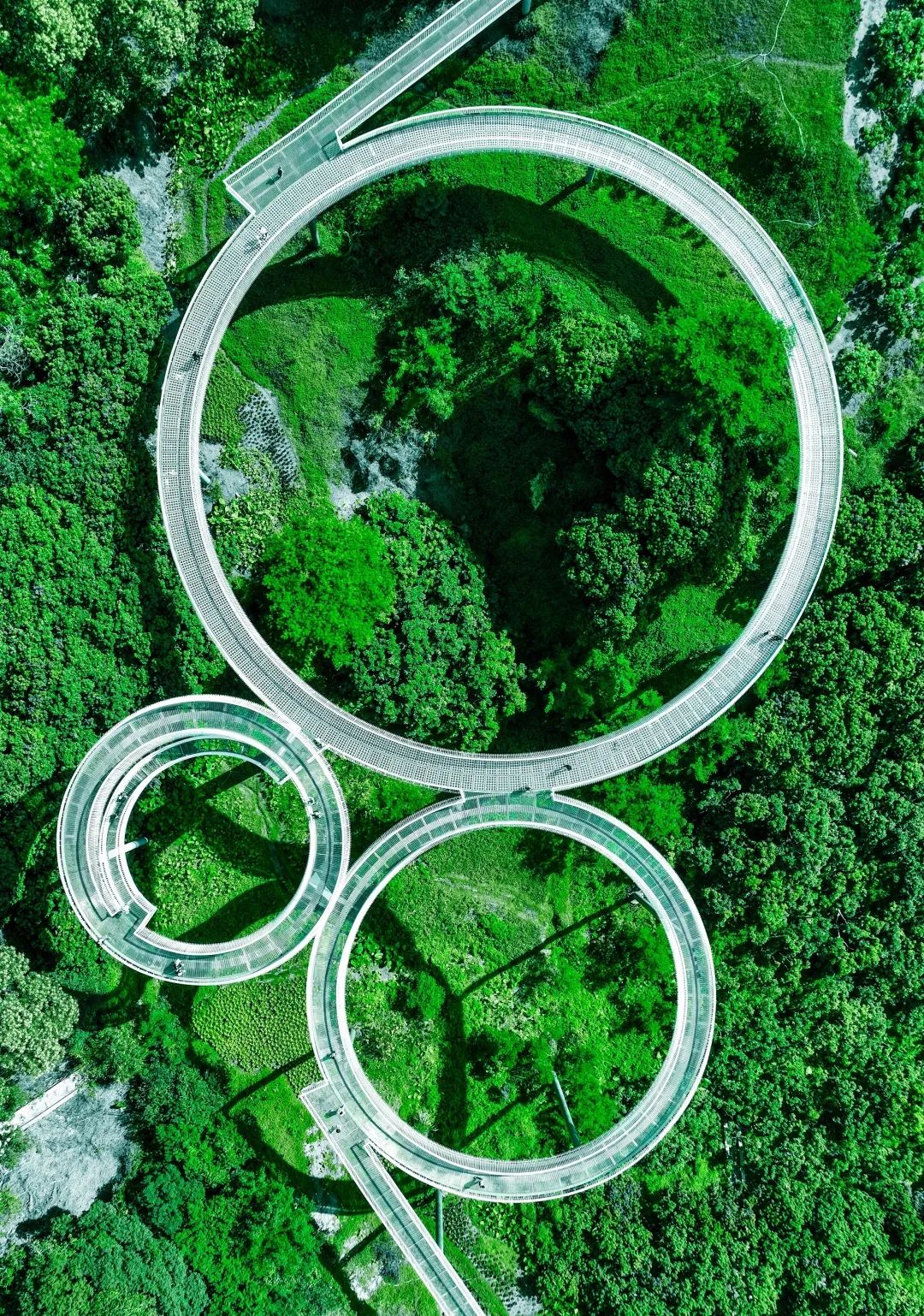 深圳光明区大顶岭绿道
