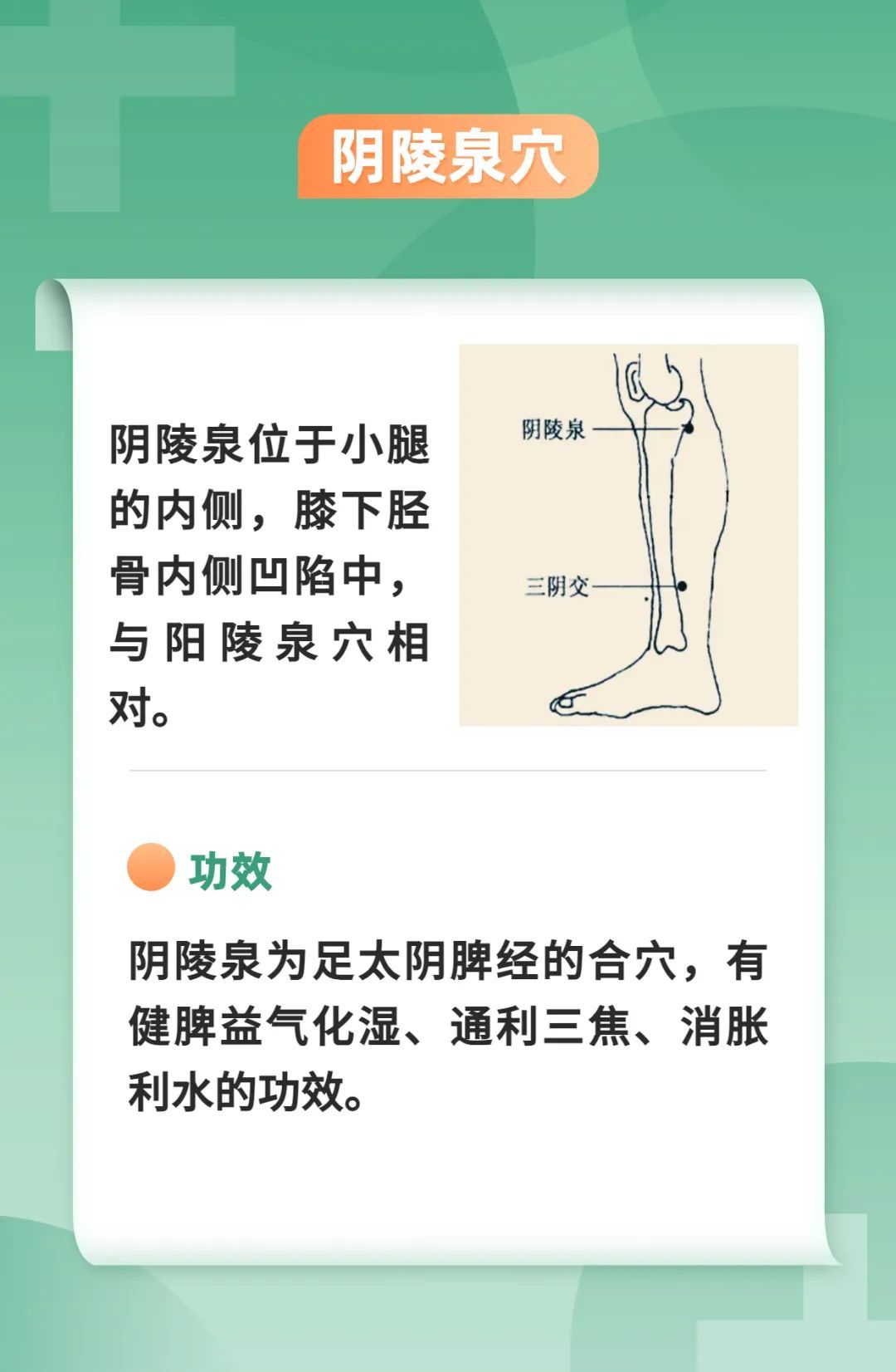 夏天赶湿气一碗祛湿汤三个祛湿穴用起来还要远离这四种生湿食物