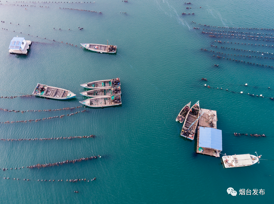打造全国领先世界一流的海洋牧场示范之城