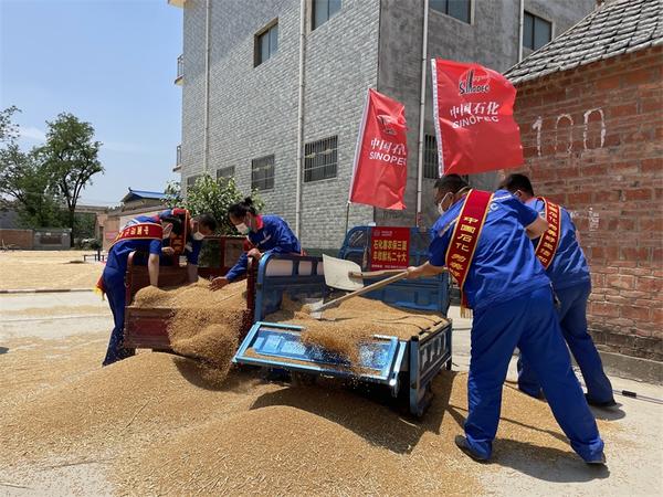 惠农保三夏丨管大哥的麦子熟了|小麦_新浪财经_新浪网
