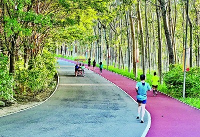 6月6日,市民在北京奥林匹克森林公园内运动健身.