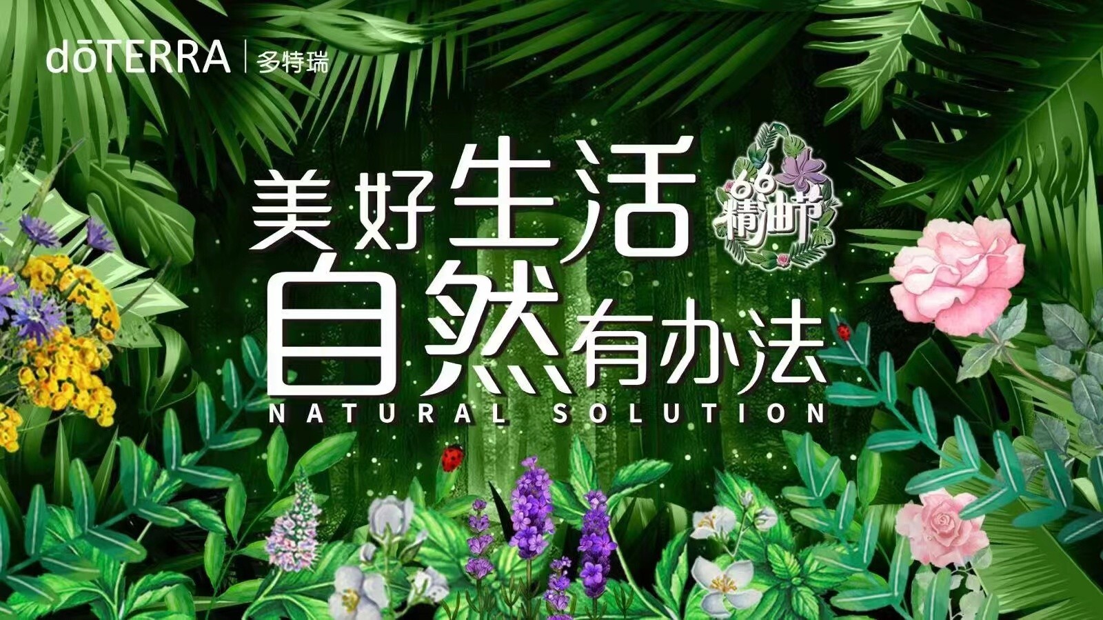 美好生活自然有办法2022多特瑞66精油节圆满闭幕