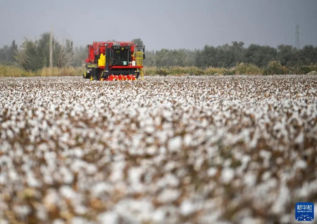 服装制造商巴塔哥尼亚(patagonia)决定结束已经20年的在华合作关系,还