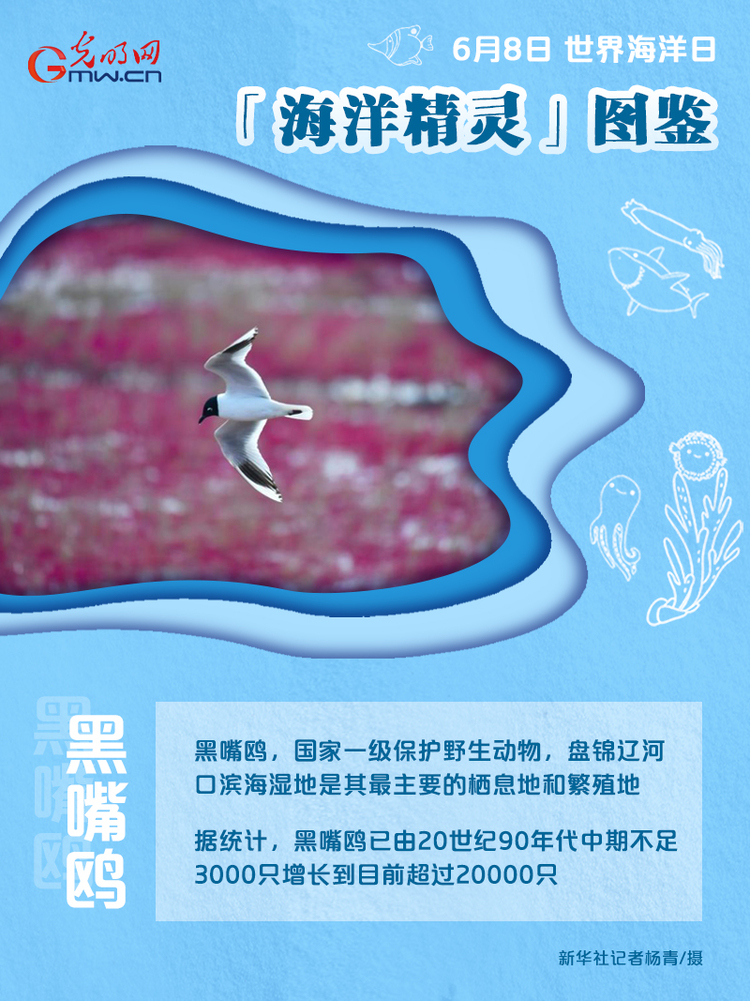 【责任编辑:王晗】
