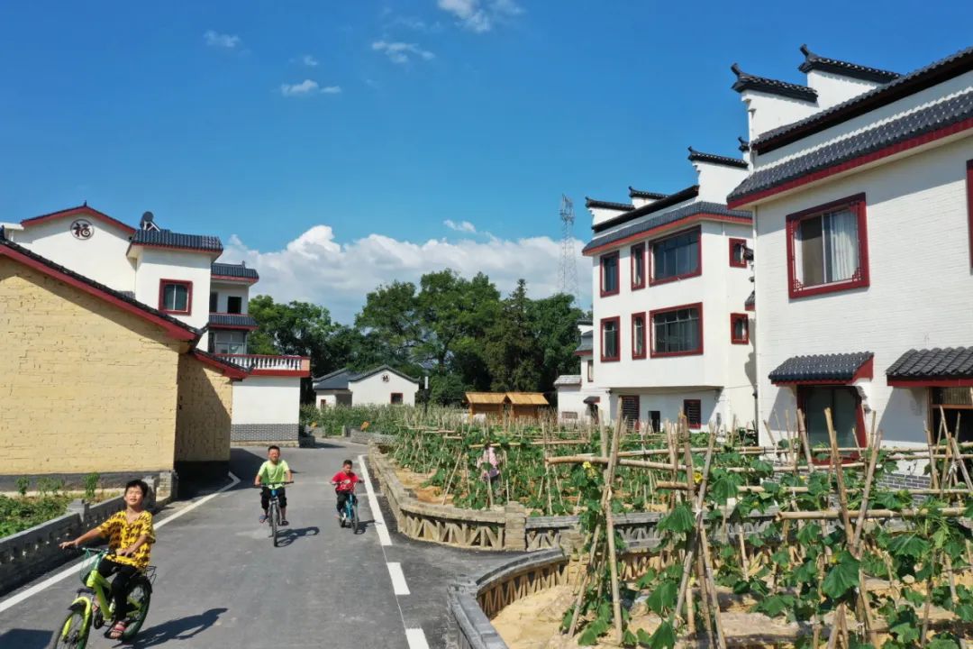 (资料图片)创新引领 39项广西科学技术奖居全区第二日前,2022年广西