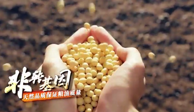 扩种1000万亩 扛起国产大豆大旗——打造黑龙江好粮油特色品牌