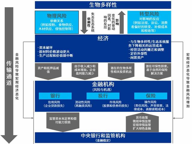 兴业银行落地采纳TNFD方法学的生物多样性贷款 兴业银行落地采纳TNFD方法学的生物多样性贷款