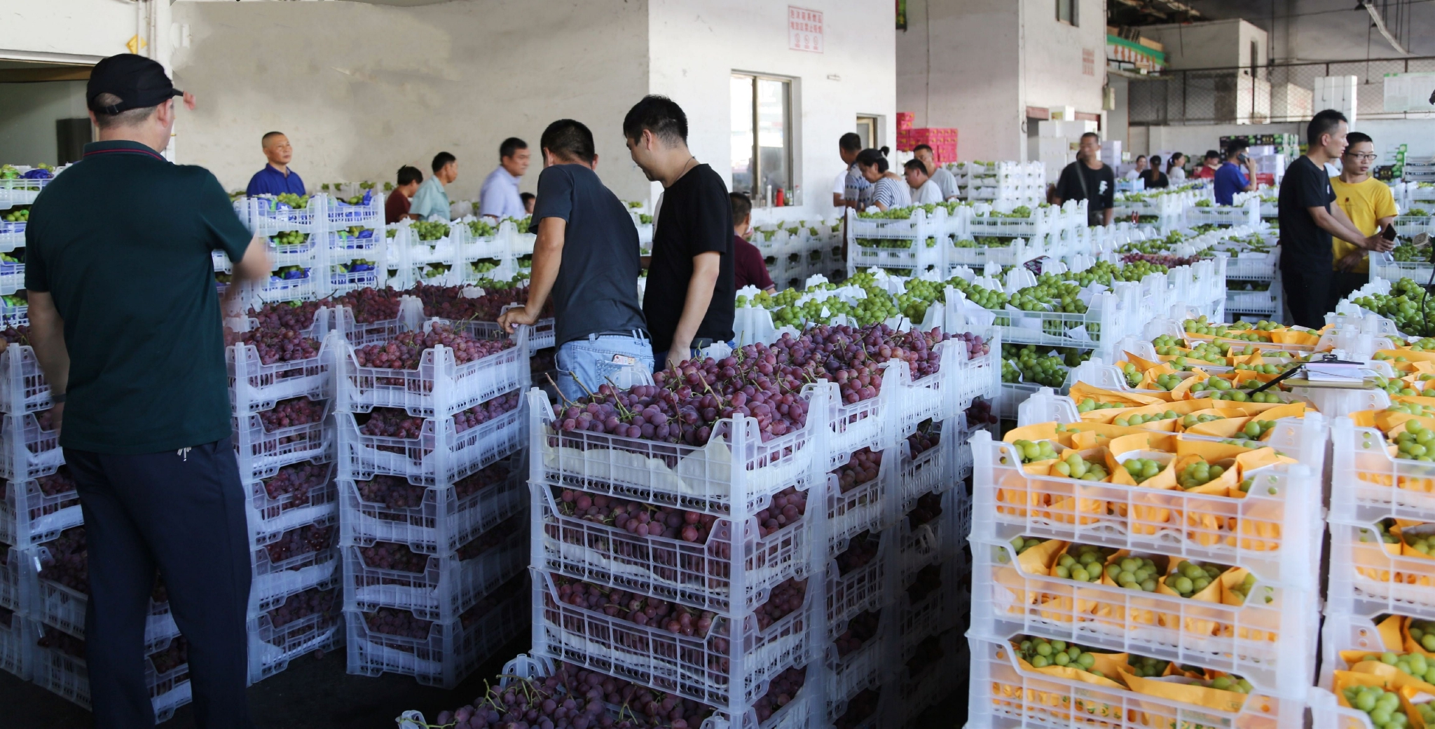 央视点赞嘉兴水果市场揭秘超级市场发展密码