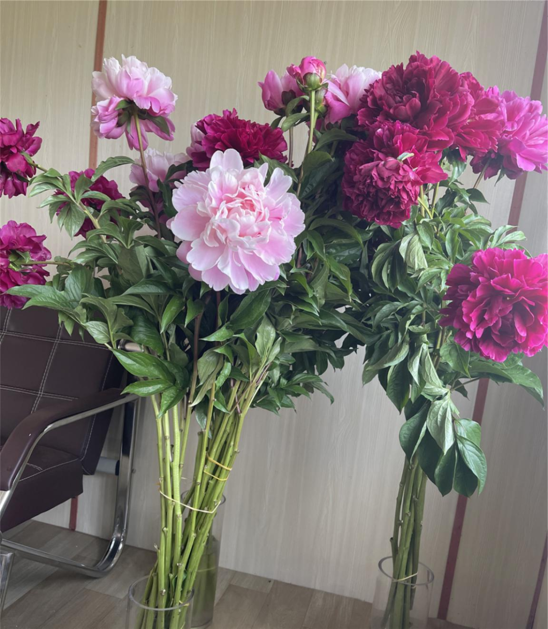 菏泽芍药鲜切花逆势热销,销售收入突破2.5亿元