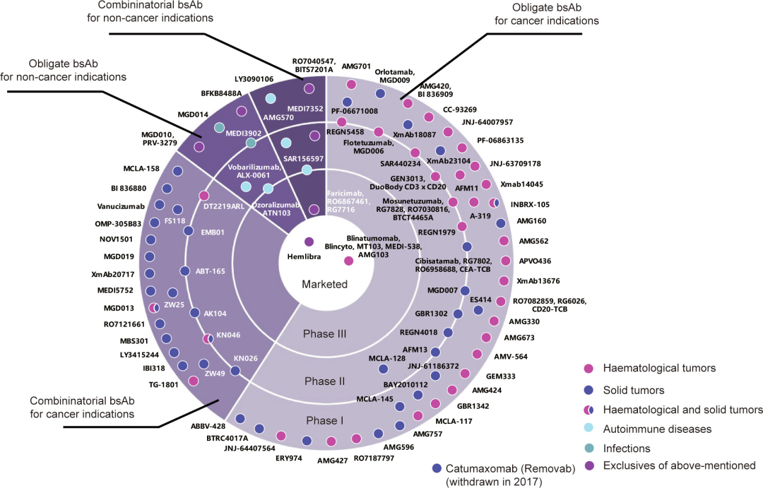 ABS什么药修饰型治疗性抗体国内外研究进展丨Engineering_https://www.jmylbn.com_新闻资讯_第6张