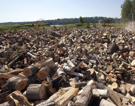 立陶宛因对俄制裁面临木材短缺 将阻止更多木材出口